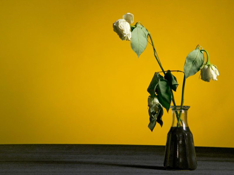 schoonmaken na overlijden